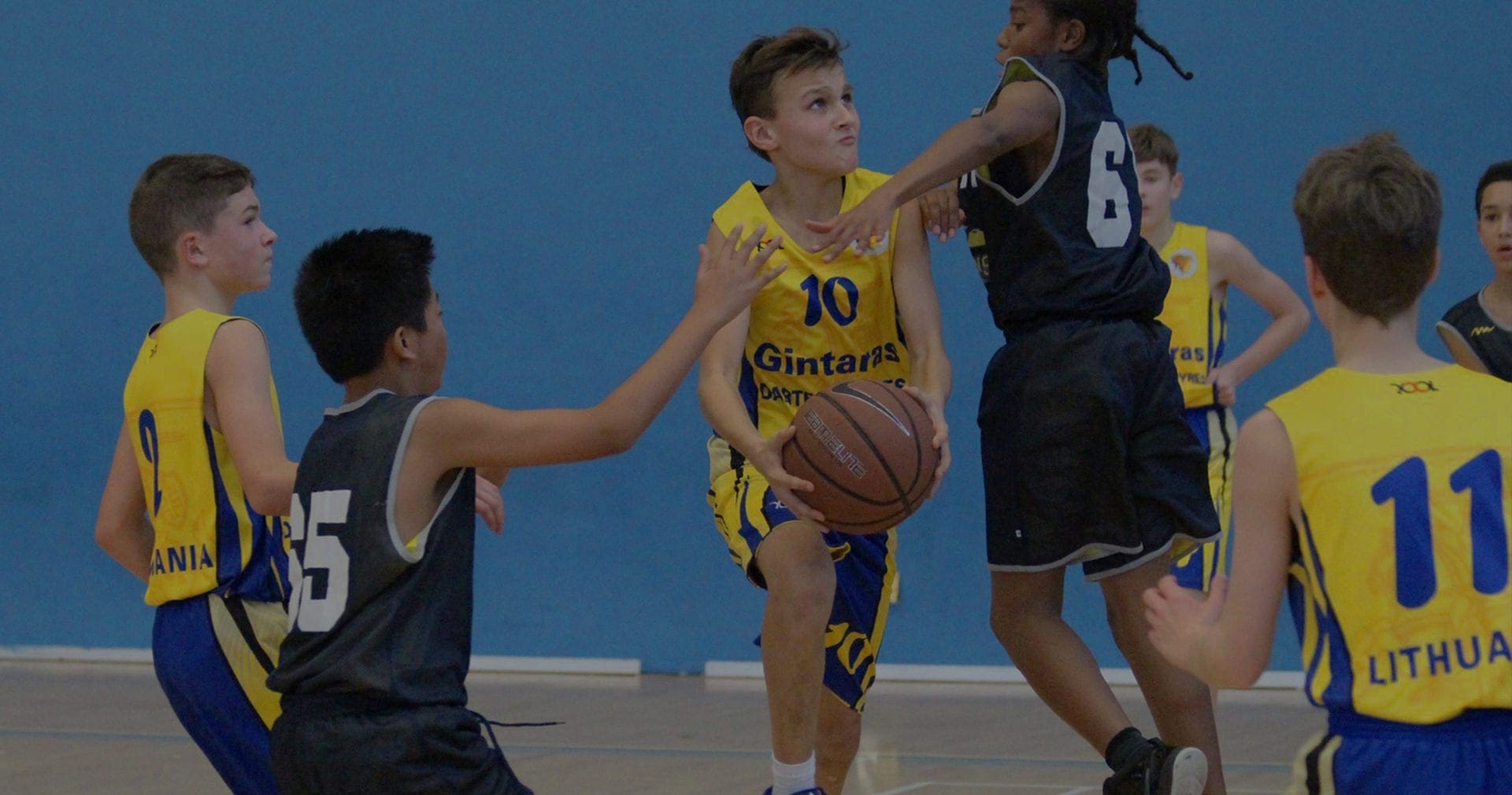 LSB PROGRAMS BANNER