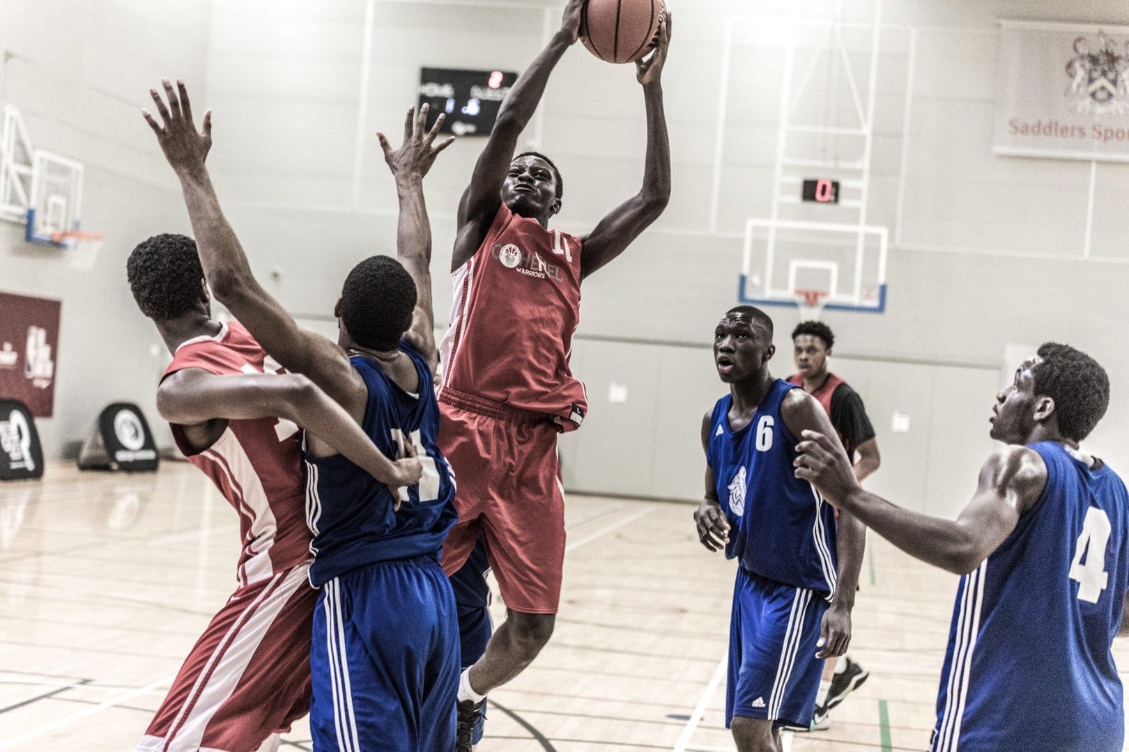 CBLHOOPS-83 2