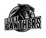 Panthers PNG Small logo