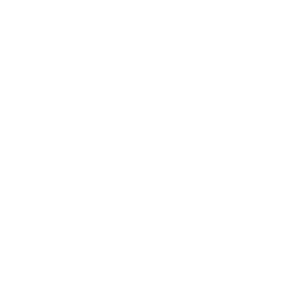 NEXT LEVEL ACADEMY LOGO WHITE