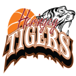 Haringey Tigers logo