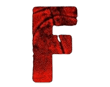 WF Flames logo