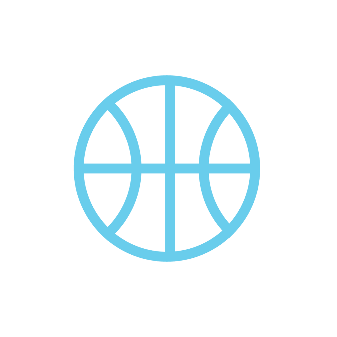 Basketball Icon
