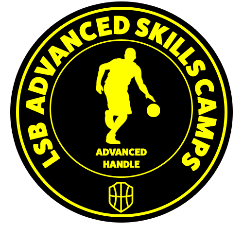Advanced Ball Handling Camp Logo